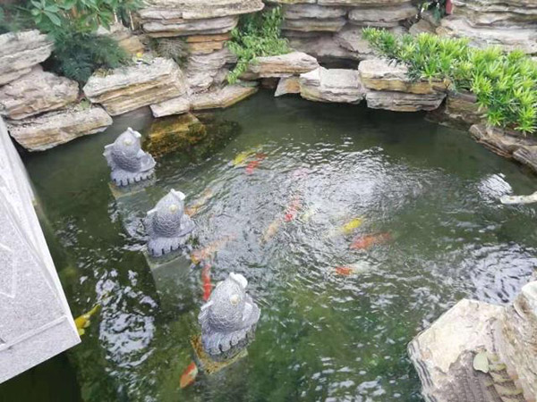 別墅花園設(shè)計(jì)里添加個(gè)魚池設(shè)計(jì)怎么樣？