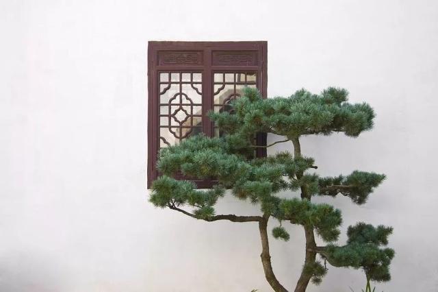 驚艷世界的中式庭院，美哭了！